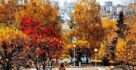 Золотая осень в парке Победы Чебоксары