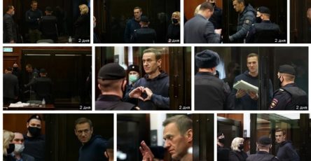 Алексей Навальный Яндекс Картинки