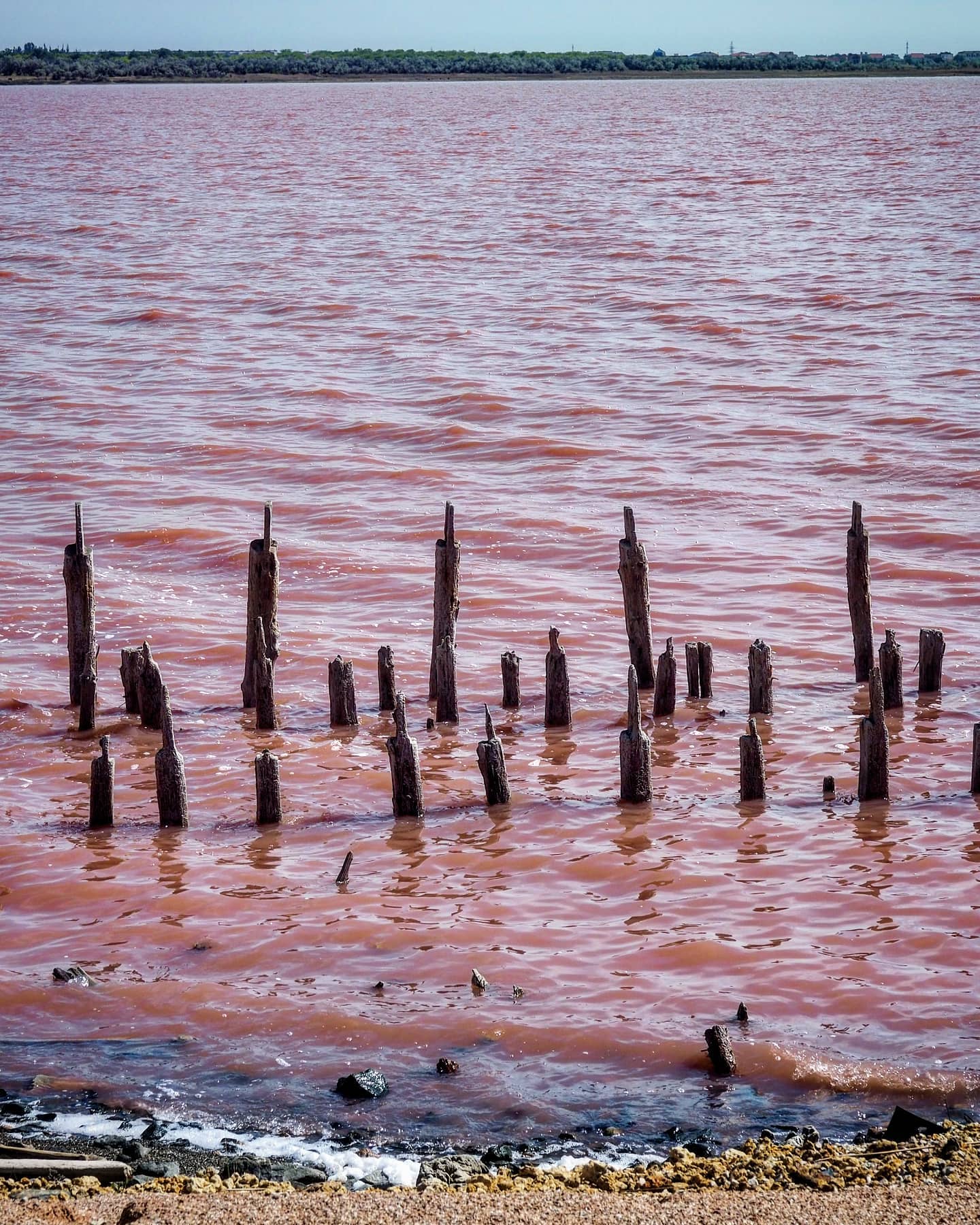 Западный розовый бассейн Сакского озера