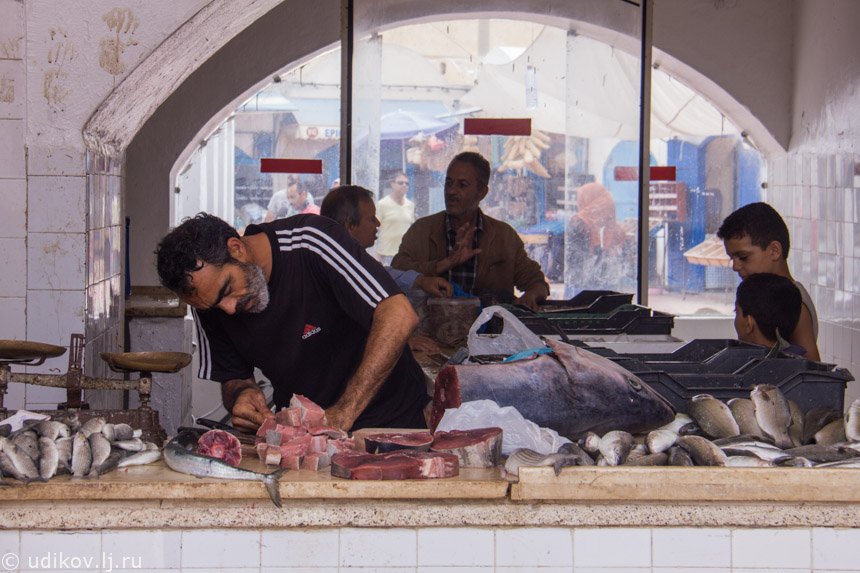 Рыбный рынок в Тунисе