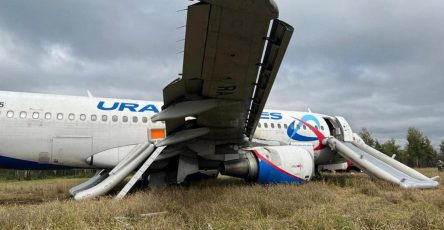 Самолёт Уральских авиалиний севший в поле под Новосибирском