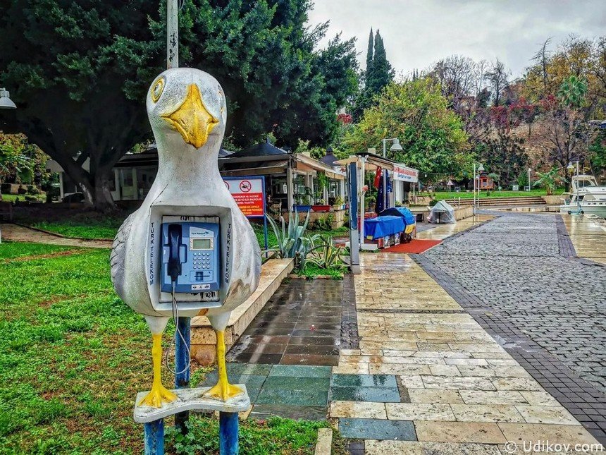 Таксофон в виде чайки в Анталье