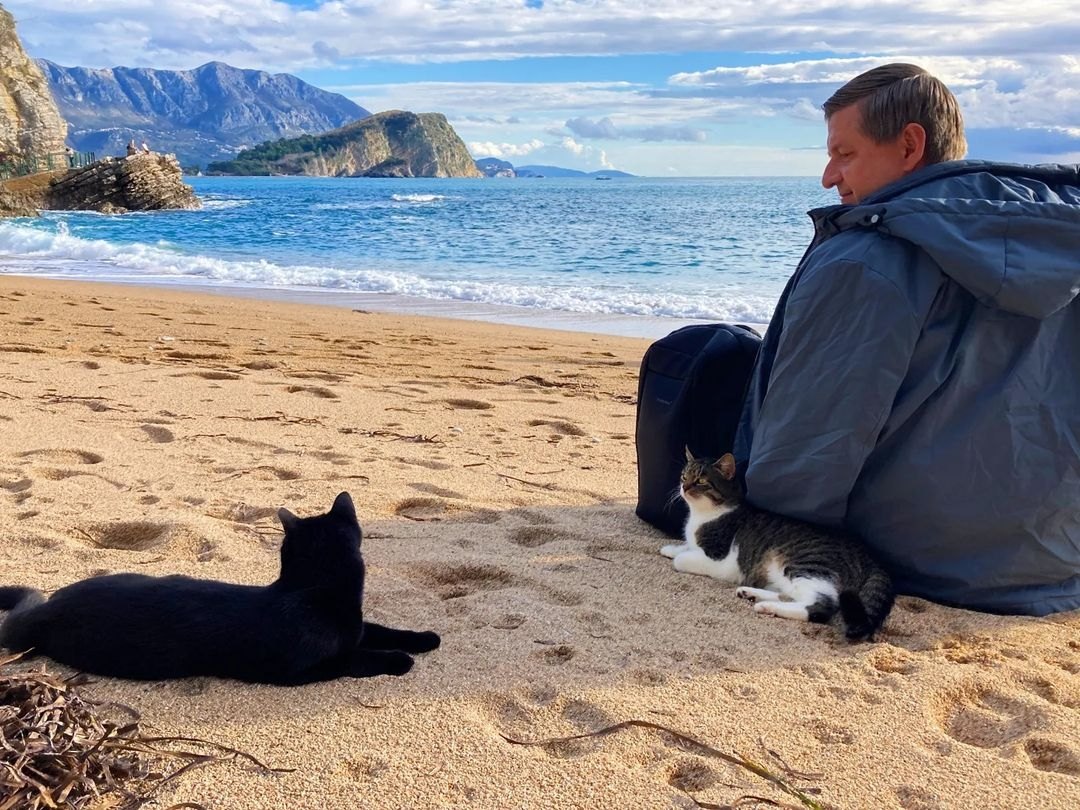 На пляже с будванскими котиками