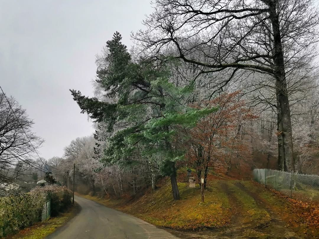 Опушка Аргонского леса в Клермоне