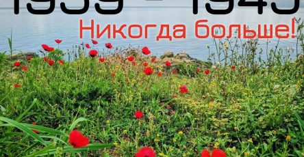 Открытка 8 мая 2025 года