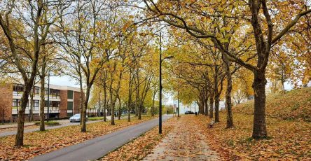 Осень в спальном районе
