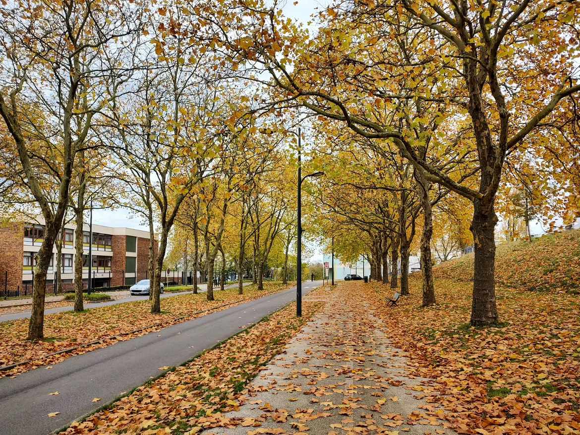 Осень в спальном районе