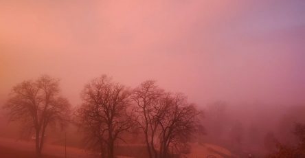 Красный туман