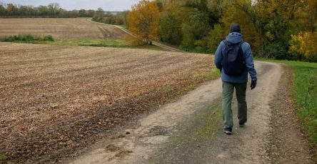 Шагаю в зимнем поле