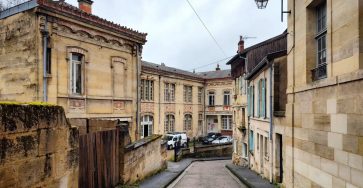 Любимый вид