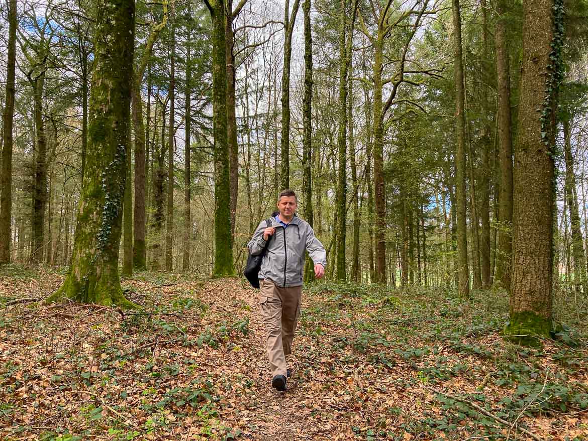 В Аргонском лесу