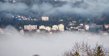 Туманное утро